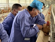 广东省种畜禽核心场评审专家组到南海种禽公司开展现场审核